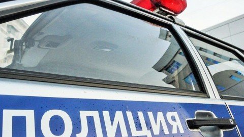 Полицейские установили подозреваемого в незаконной рубке более 40 деревьев